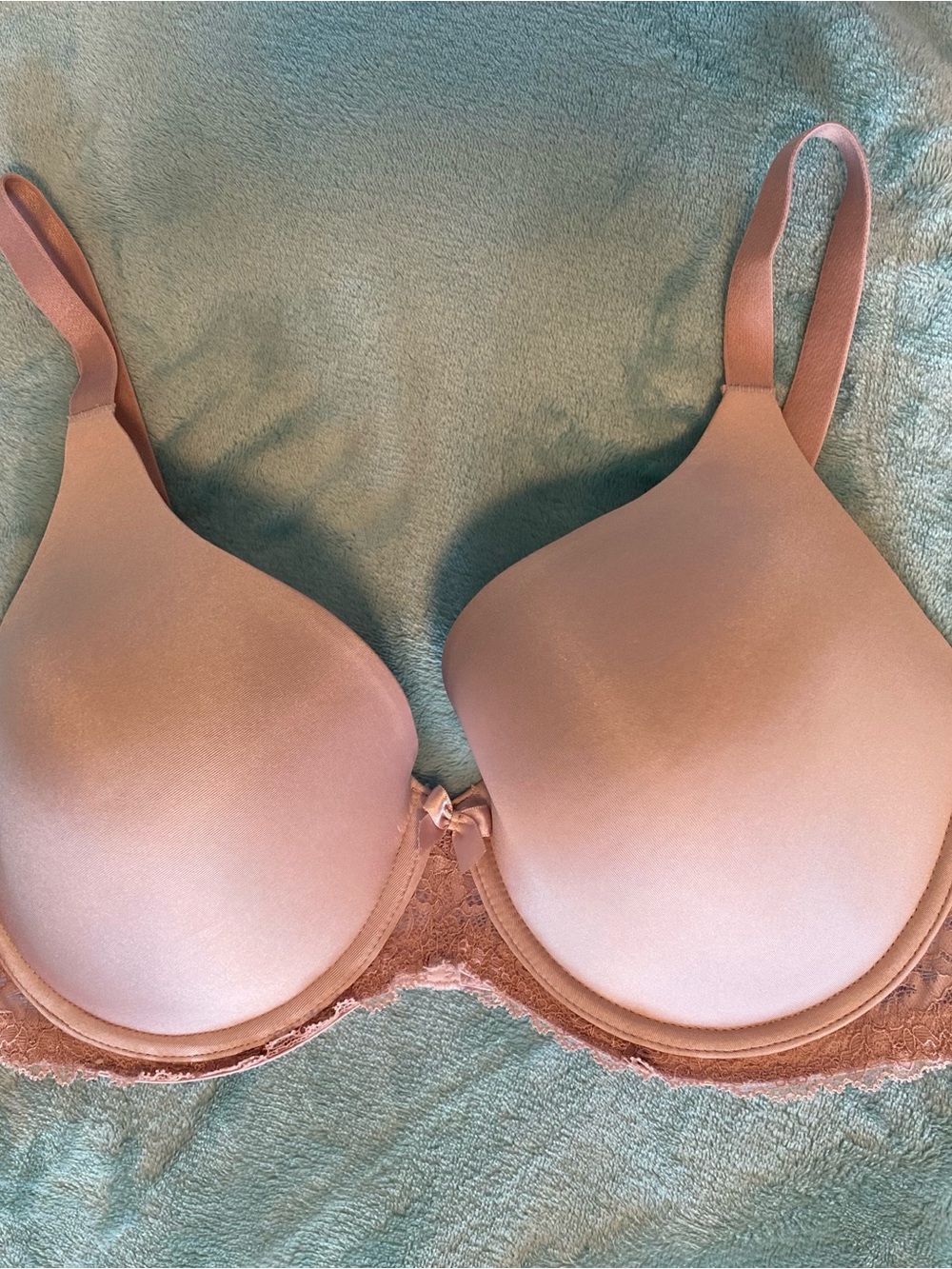 La Vie En Rose ~ Blush Padded T-Shirt Bra with Lace Band